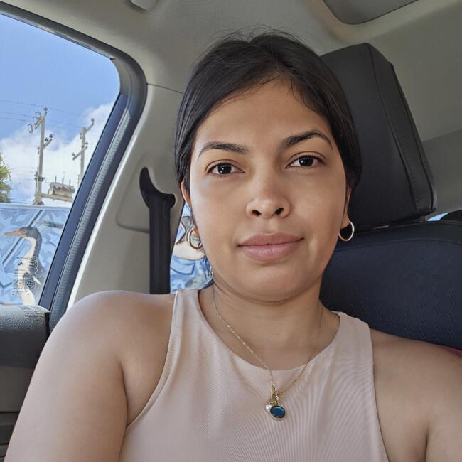Babysitting job in Santiago: Laura