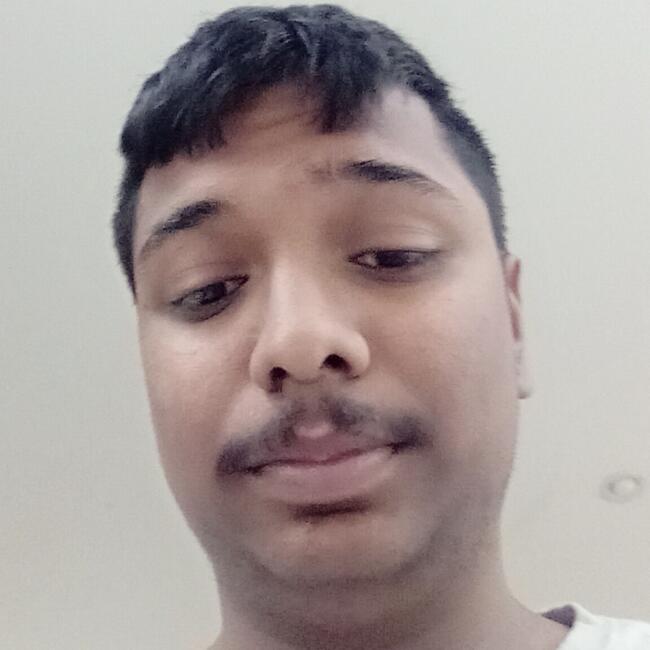 Baby-sitter in Surrey: Aditya