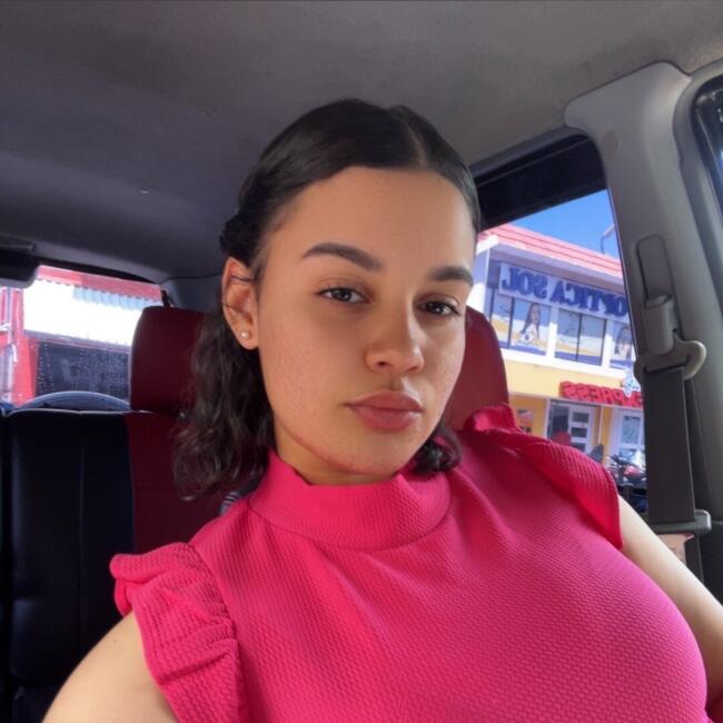 Niñera en Santiago de los Caballeros: Orlanyi