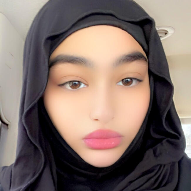 Babysitter in Dearborn Heights: Aya