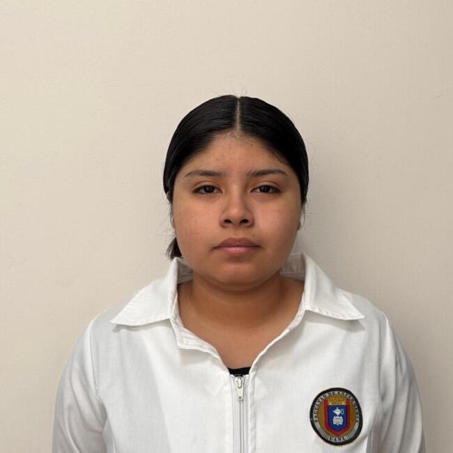 Babysitter in San Nicolás de los Garza: Jaresy
