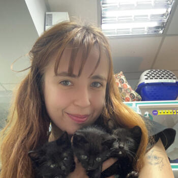 Babysitter in Joinville: Maria Giovanna