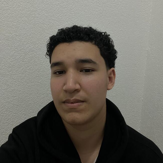 Babysitter in Pibrac: Amin