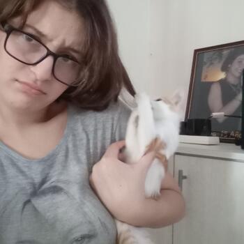 Babysitter in Bell Ville: Lara