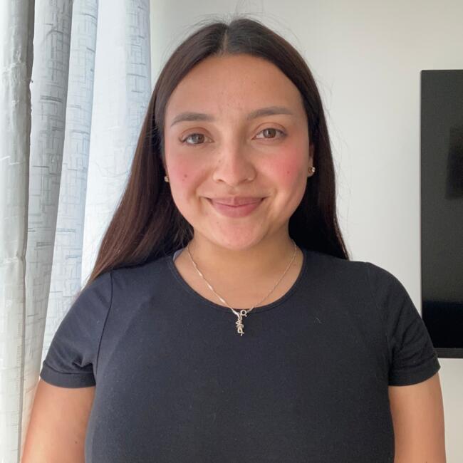 Babysitter in Ovalle: Francisca