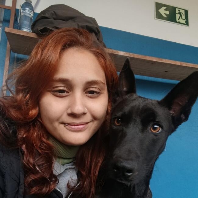 Babysitter in São Leopoldo: Rosana