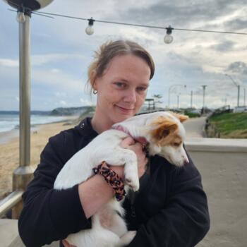 Babysitting job in Hobart: babysitting job Shelly