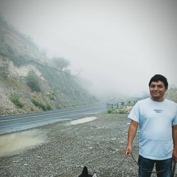 Babysitting job in Celaya: babysitting job Gerardo