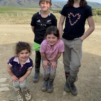 Babysitting job in Tapanui: babysitting job Kelvin