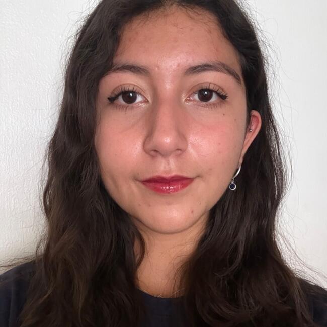 Babysitter in La Florida: Catalina