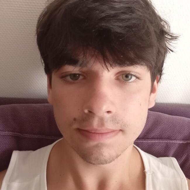 Babysitter in La Roche-sur-Yon: Antoine