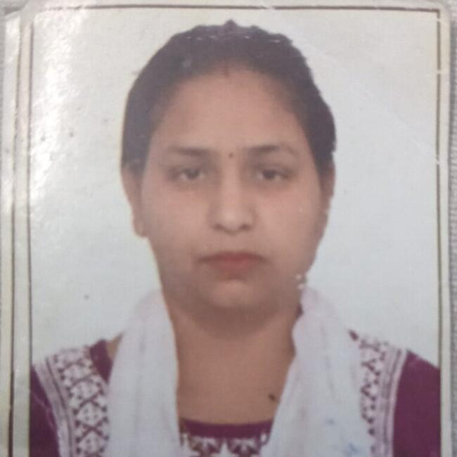 दिल्ली में बेबीसिटर: Sunita