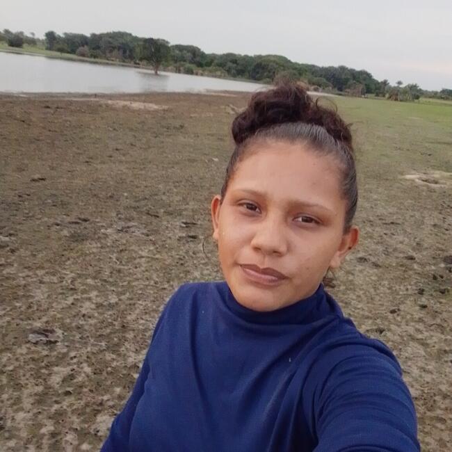 Babysitter in Santarém: Francione