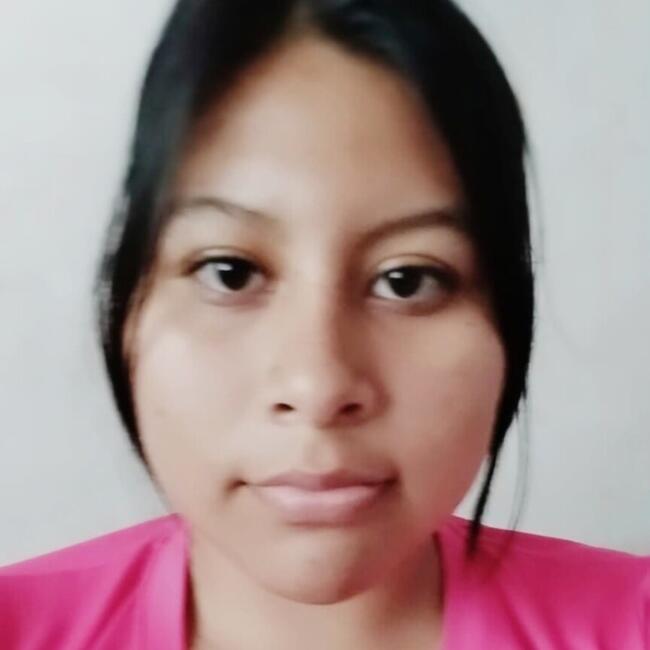 Babysitter in Iquique: Lariza