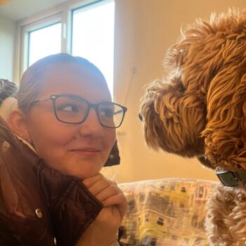 Babysitter Galway: Mella