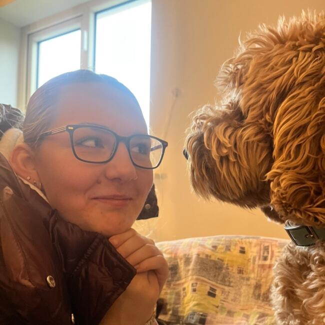 Babysitter in Galway: Mella