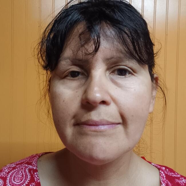 Niñera en Valdivia: Cecilia
