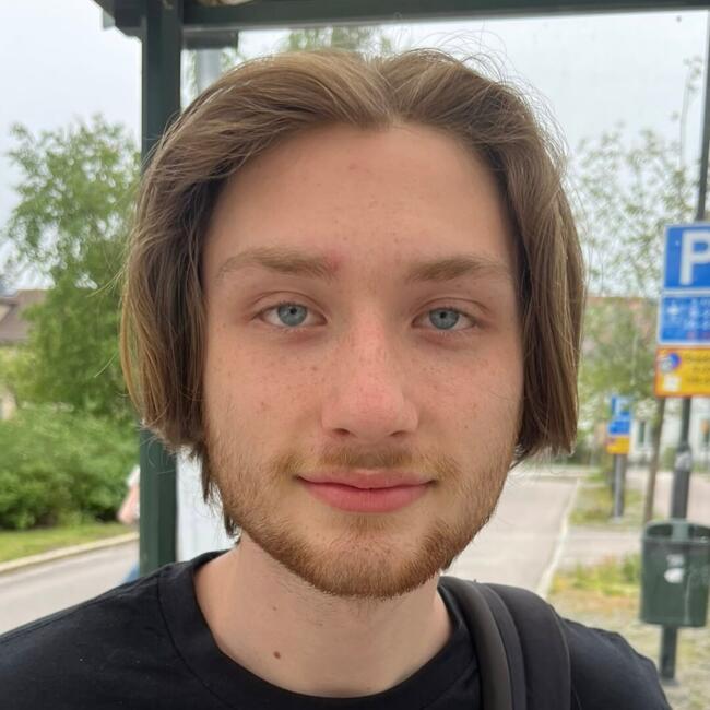 Babysitter in Tullinge: Tim