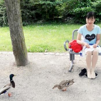 Babysitter Lörrach: Rica