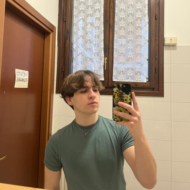 Babysitter in Garbagnate Milanese: Daniel