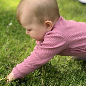 Babysitter job i Farum: babysitter job Gintaute