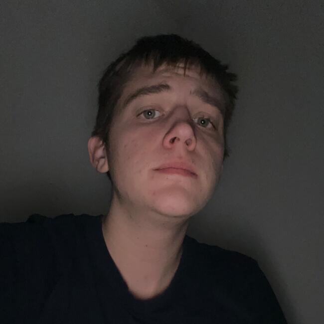 Babysitter in Krška Vas (Občina Ivančna Gorica): Žan