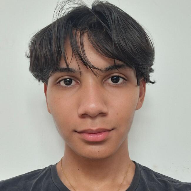 Babysitter in Goiânia: Luis Felipe