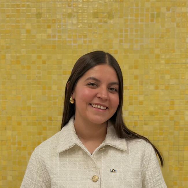 Babysitter in Viña del Mar: Dominique