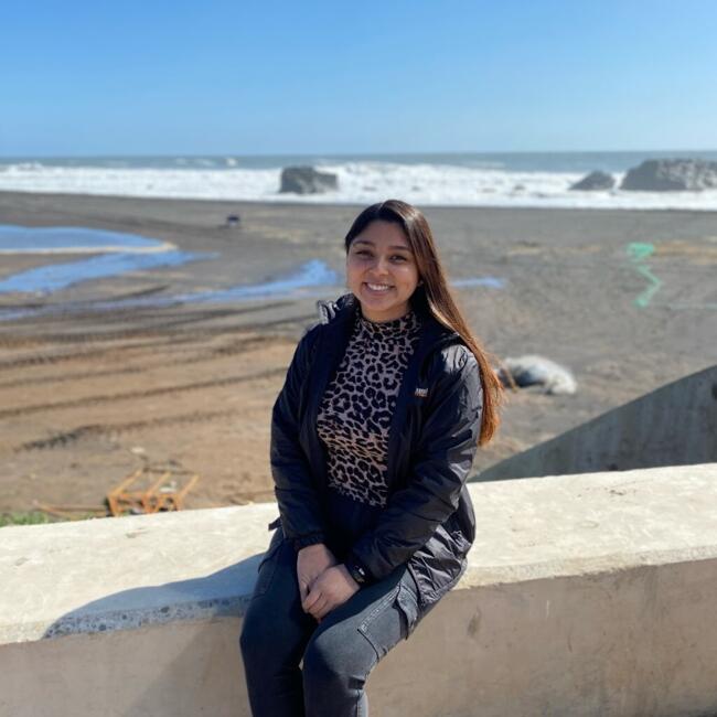 Babysitter in Pelluhue: Millaray Vásquez