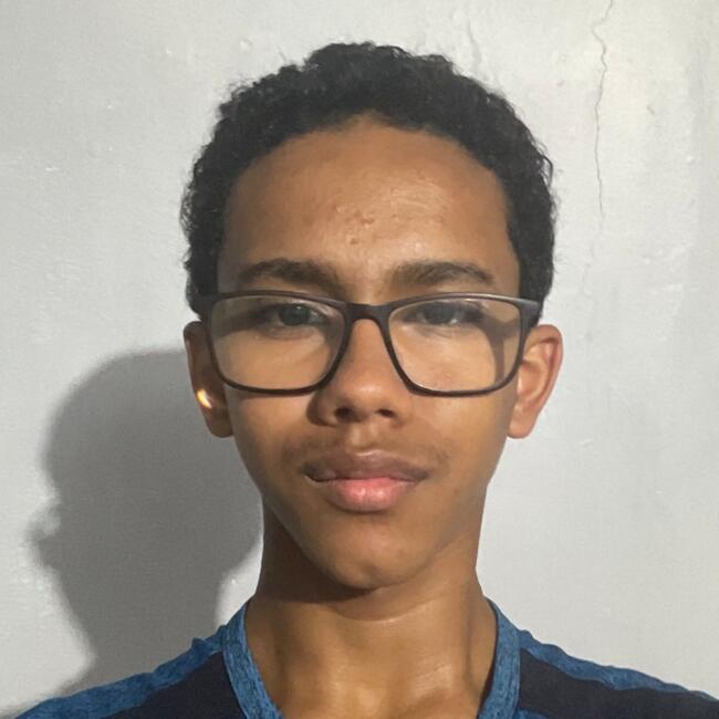 Babysitter in Palhoça: Luiz Felipe