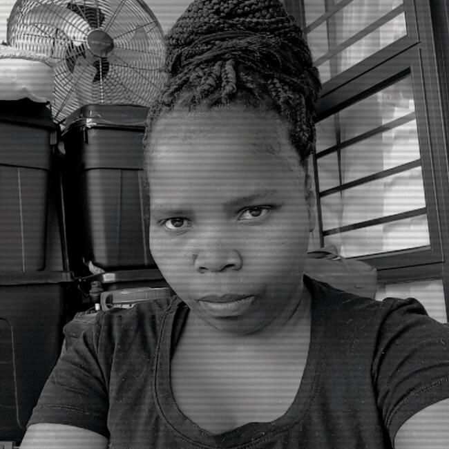 Babysitter in Johannesburg: Nkosinomusa