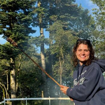 Babysitter in Dunedin: Brittany