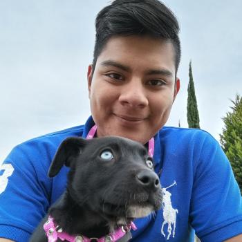 Babysitter in Puebla City: Fernando Jesús