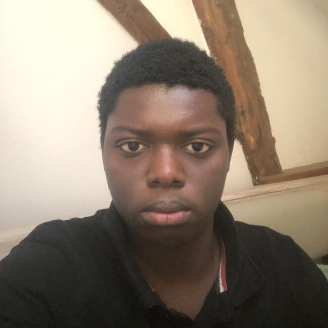 Babysitter in Périgueux: Marc