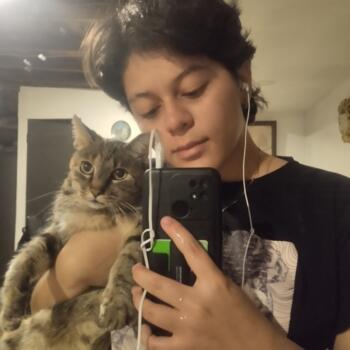Babysitter in Medellín: Isabel palacio
