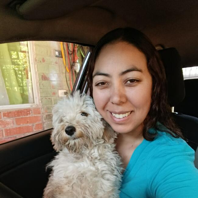 Babysitter in Los Andes: Jusept