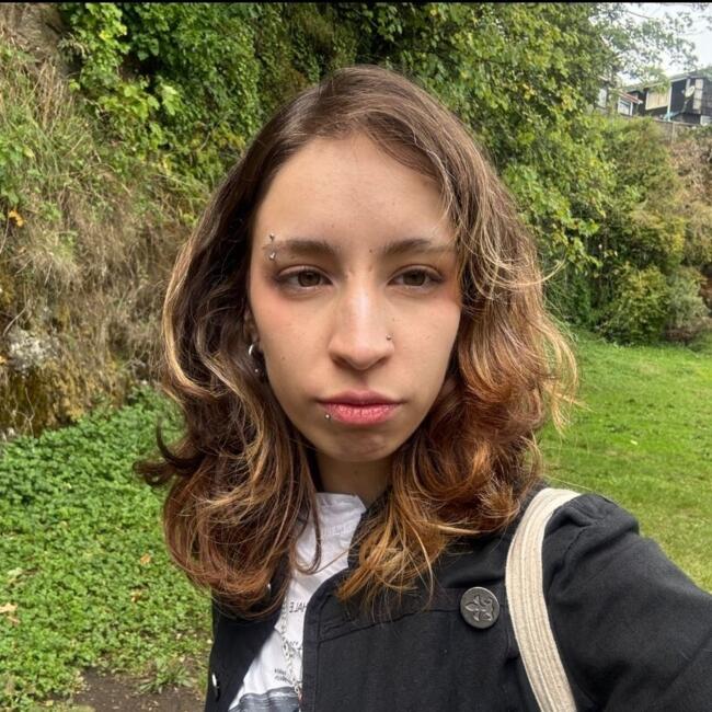 Babysitter in Santiago: Luna