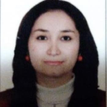 Babysitter Washington City (District of Columbia): Raheleh