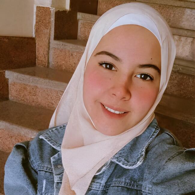 Babysitting job in Alexandria: حبيبه