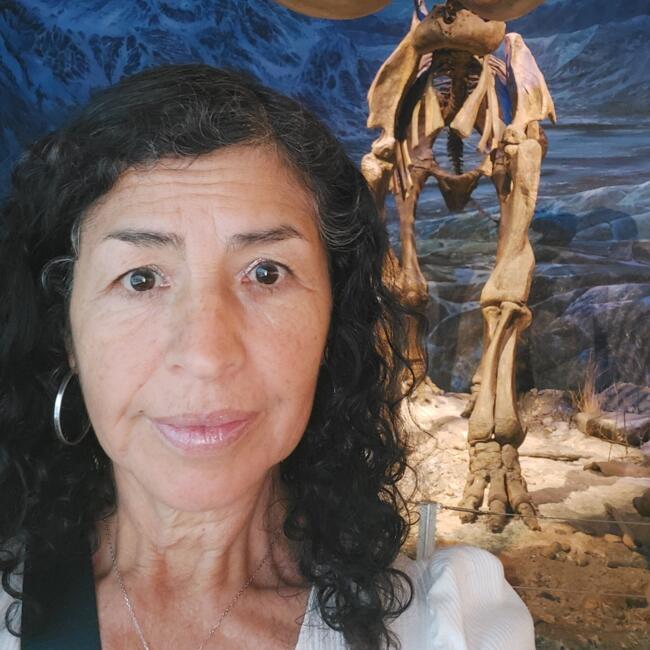 Babysitter in Edmonton: Diana