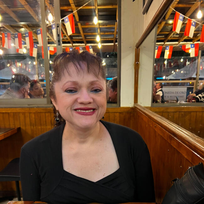 Niñera en Santiago de Chile: Mirta