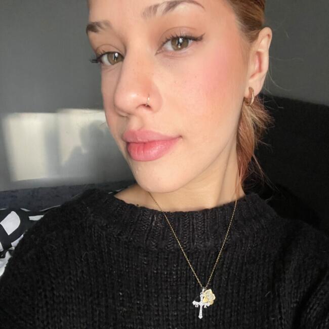 Nanny in Oviedo: Ari