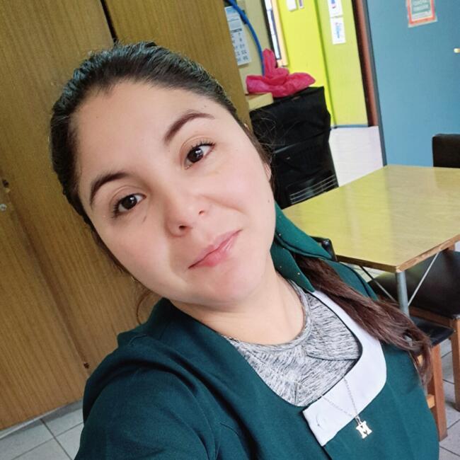 Babysitter in Temuco: Katerine