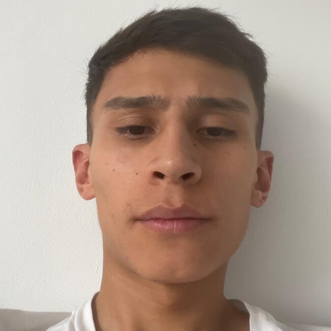 Trabajo para niñera en Bogotá: Andrés