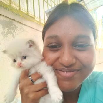 Babysitter in Chennai: Jaina