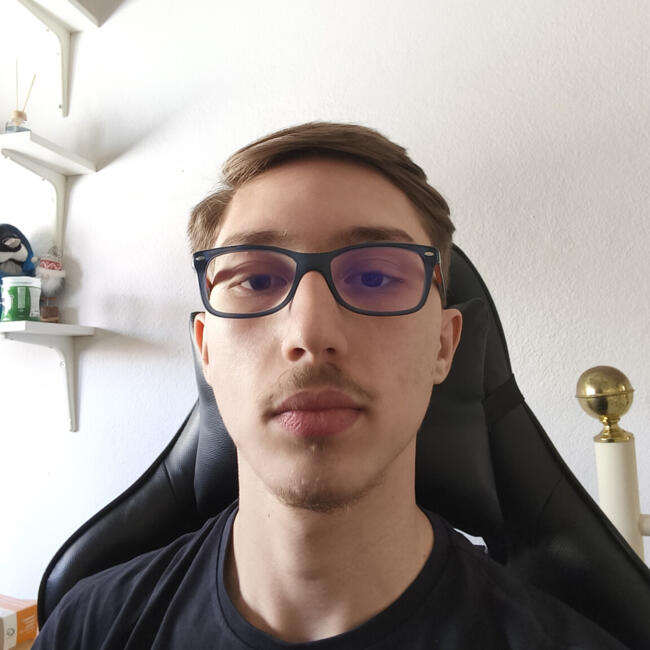 Babysitter in Vila Real: Renato