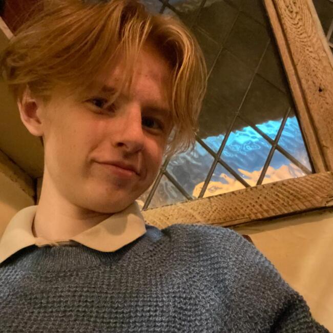 Babysitter in Leigh-on-Sea: Alex