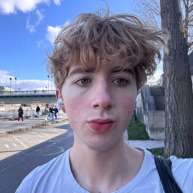 Babysitter in Paris: Strider