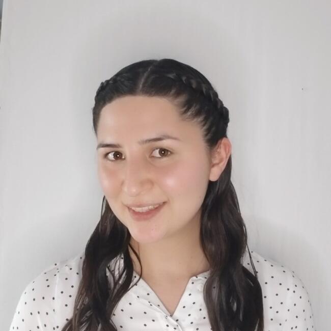 Babysitter in Macul: Nicole Molina