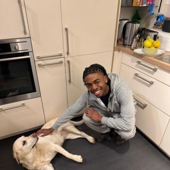 Babysitter Frankfurt am Main: Cross